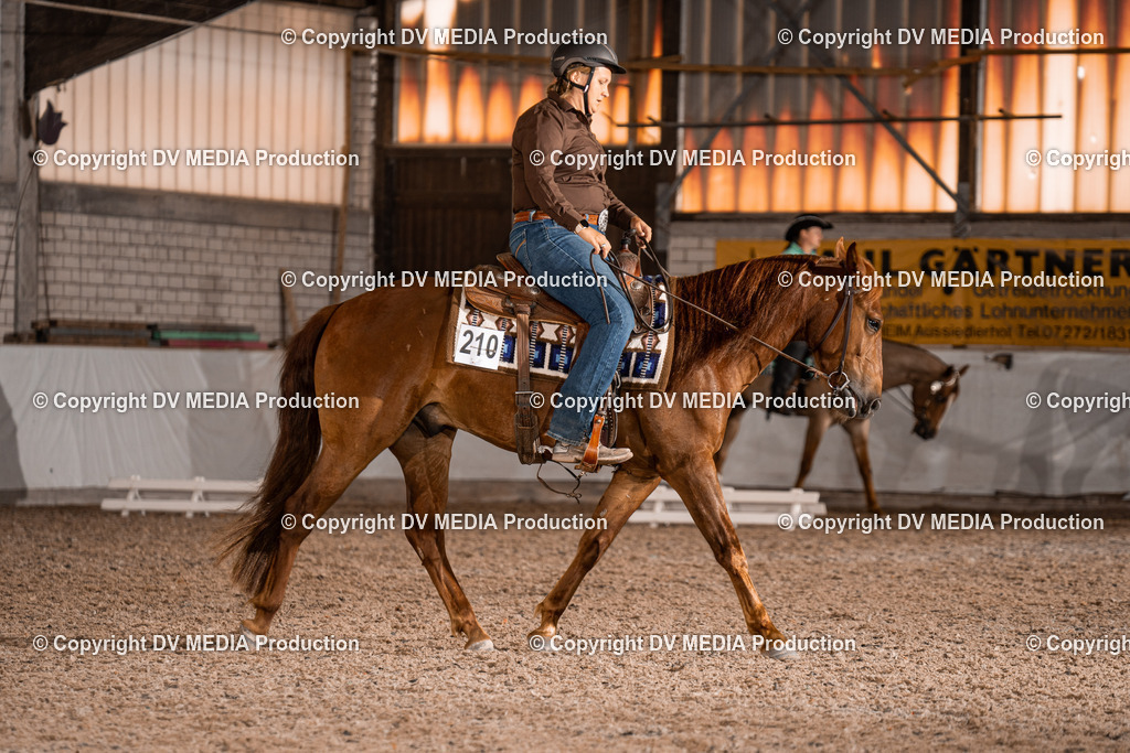 ZH100059 | dv-media-shop - Realisiert mit Pictrs.com