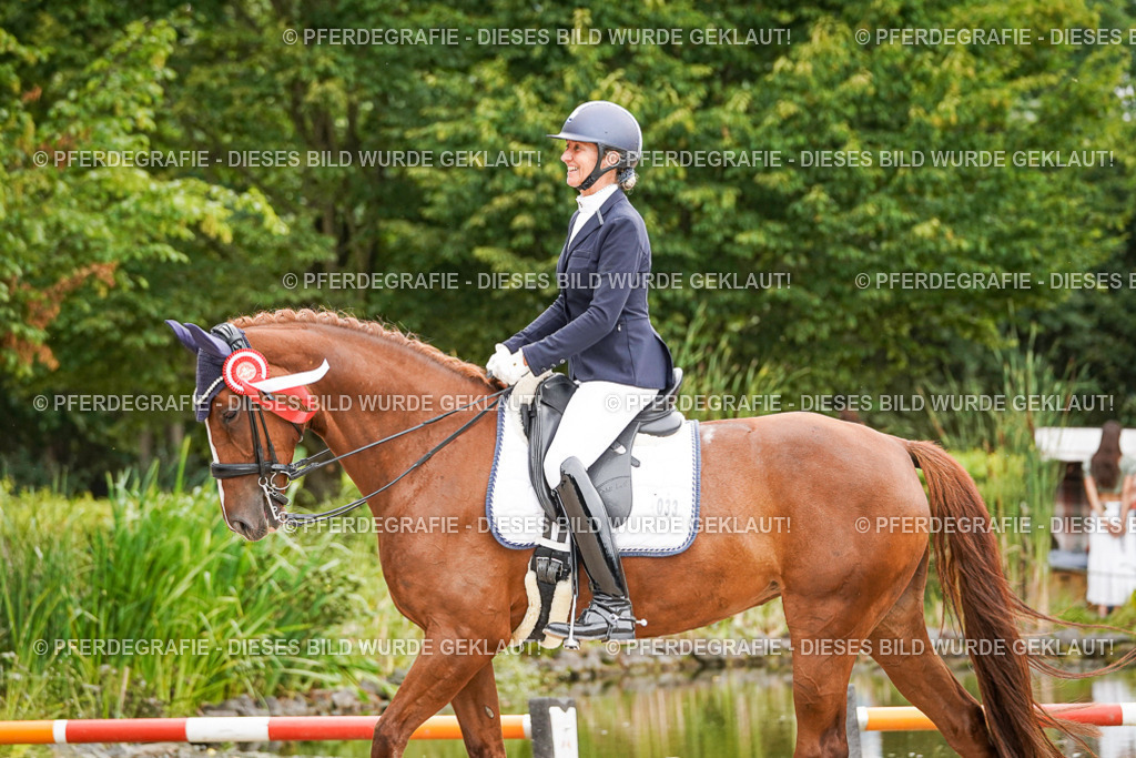 DSC08171 | Pferdegrafie