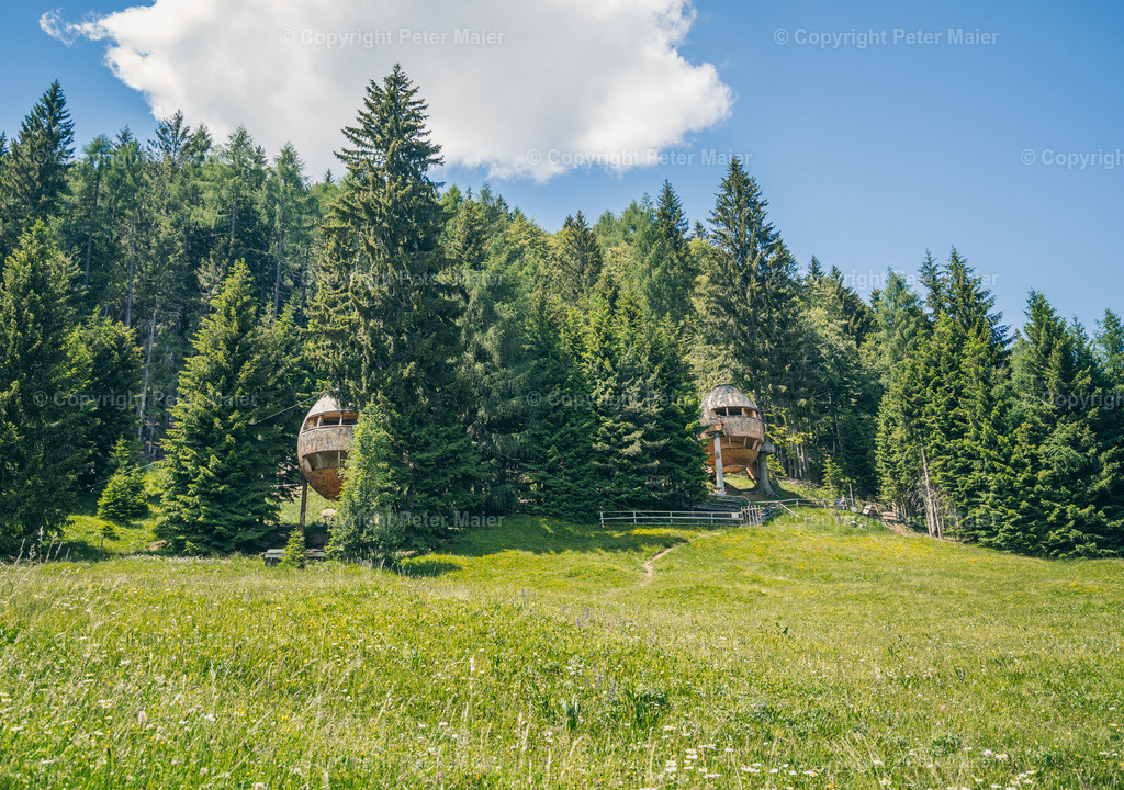 Malga_Priu_Karnische_Milchstrasse_2020-28 | piet_flosse