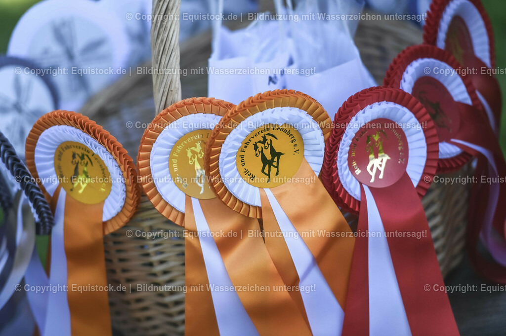 20230908_14-15_Springpferde-A_0107 | equistock