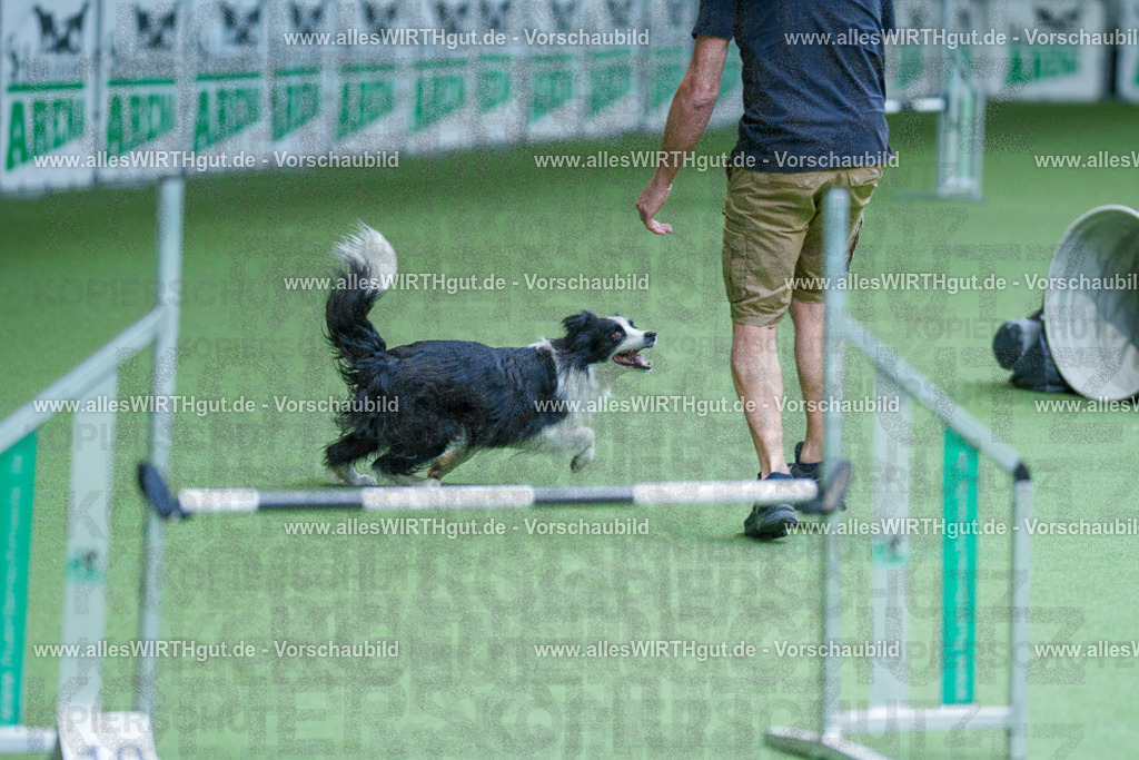 @allesWIRTHgut_Tierfotografie - www.allesWIRTHgut.de - 2604261347-7R502670 | Professionelle Tierfotografie in Mönchengladbach von Daniel Wirth (allesWIRTHgut). Liebevolle & natürliche Bilder von Hunden & Katzen für unvergessliche Erinnerungen.