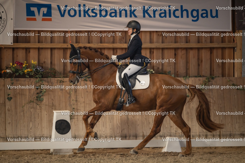 _D5A3202 | Emotionale Pferde- & People-Fotografie rund um Heidelberg, Leimen & Umgebung. Natürliche Fotos von Pferd, Mensch & Familie. Jetzt Termin sichern!