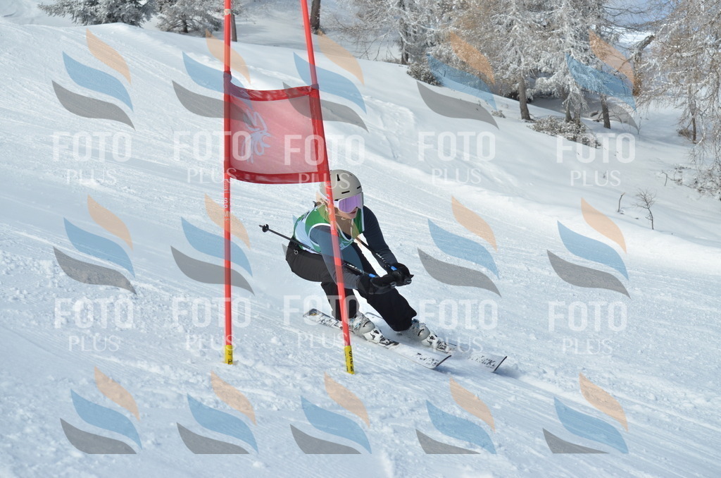 D8925 | holidayphoto