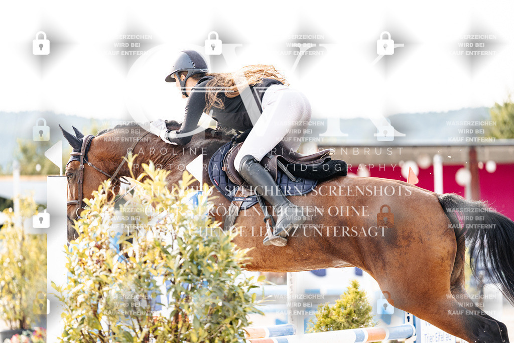 CK906468 | Turnierfotografie Pferdefotografie Trier Rheinland-Pfalz Pferdesport Reitsport Tierfotografie Sportfotografie Pferdevideo Pferdevideografie Equestrianvideography equestrianphotography  - Realisiert mit Pictrs.com