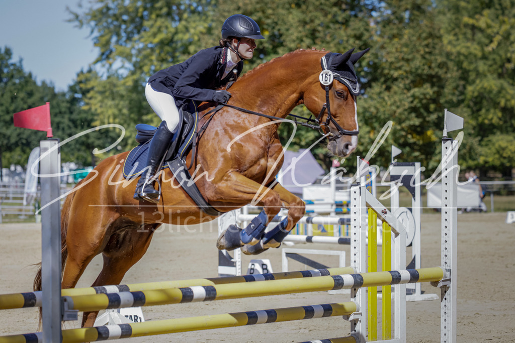 20250906-_3LI3985 | Tierfotografie Pferde, Hunde, Katzen, Haustiere.
Turnierfotografie Reitturniere, Reiten, Springreiten, Dressur in Hanau, dem Main-Kinzig-Kreis und dem Rhein-Main- Gebiet um Frankfurt