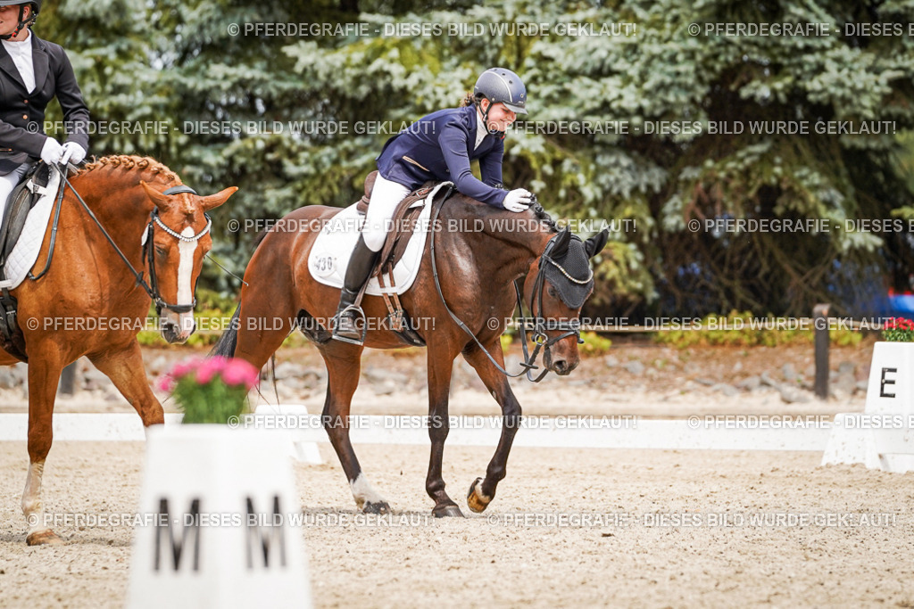 DSC04317 | Pferdegrafie