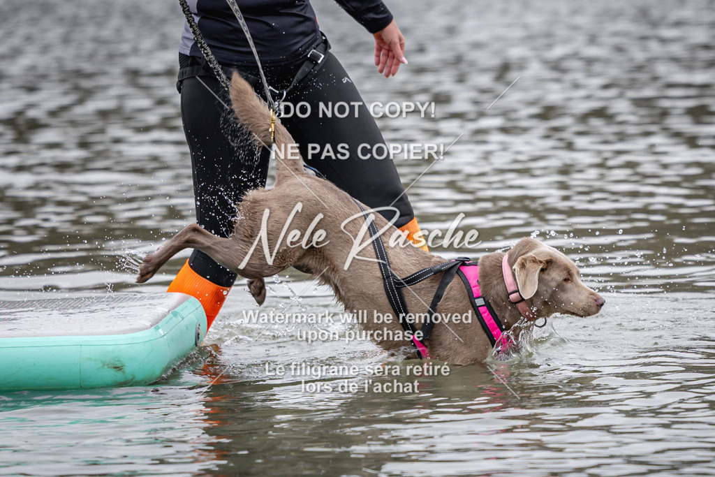 nelerasche_Hulsbeek_Sa1330-1430_109 | nelerasche