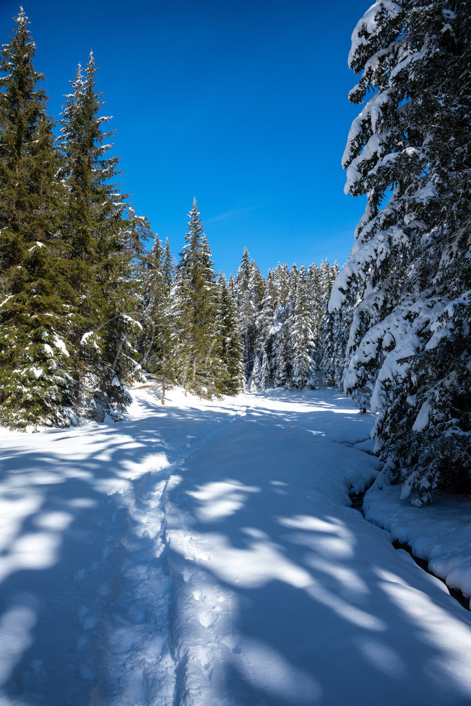 Mösern | Winterlandschaft in Mösern