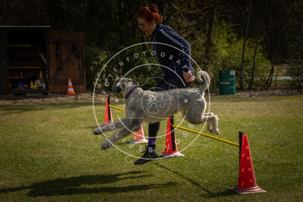 Pfotenfotografie_DV3A3725 | Hundefotografie, Tierfotograf, Pfotenfotografie, Fotoshooting Hund, Hunde Portrait, Hundesport, Hundeportraits, Heideshooting, Hunde, Sportfotograf, Hundefotograf, Turnierhundsport, THS,  - Realisiert mit Pictrs.com