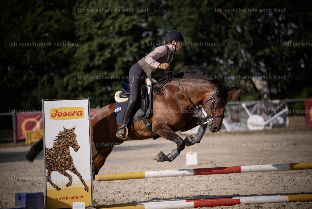 WS_SP_46_Stoibphotography_SO12432 | working equitationturnier fotograf videograf stoibphotography marixx film working equitation deutschland reitsport turnierfotografie eventfotografie equestrian events