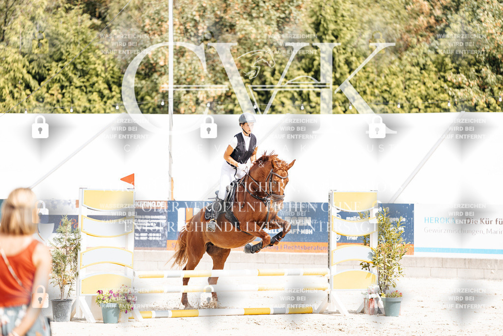 CK906373 | Turnierfotografie Pferdefotografie Trier Rheinland-Pfalz Pferdesport Reitsport Tierfotografie Sportfotografie Pferdevideo Pferdevideografie Equestrianvideography equestrianphotography  - Realisiert mit Pictrs.com
