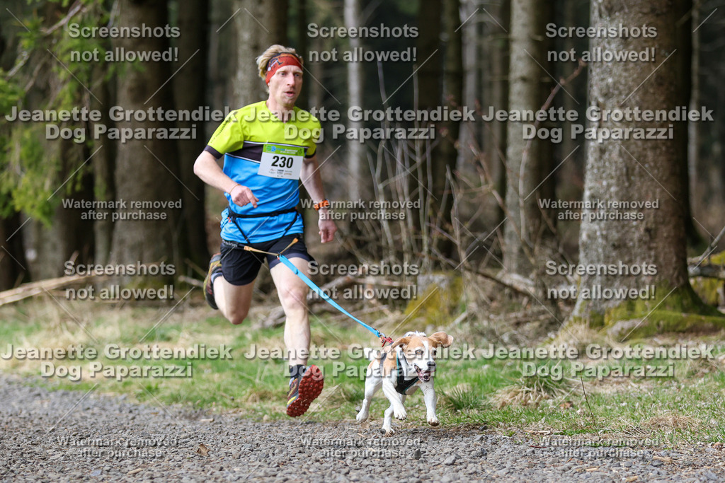 Dog Paparazzi - VCC26-282 | Dog Paparazzi Jeanette Grottendiek Fotografie & Videografie - Realisiert mit Pictrs.com