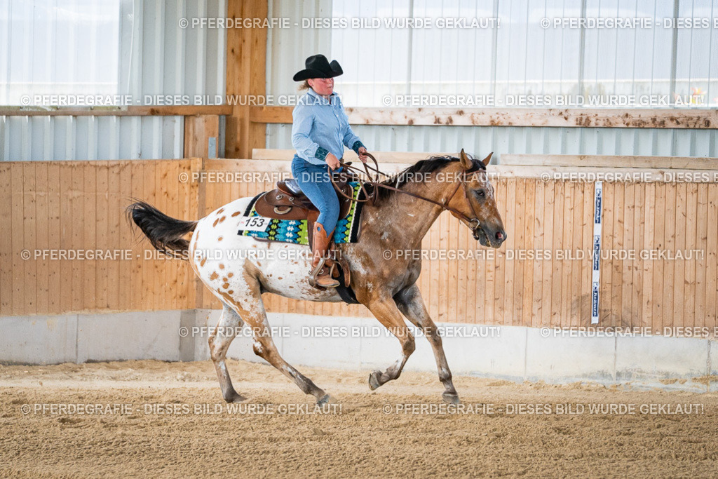 DSC02109 | Pferdegrafie