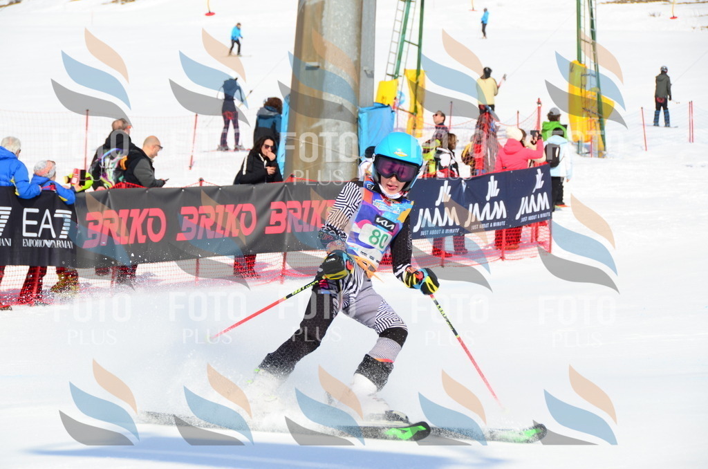 DSC_0496 | holidayphoto