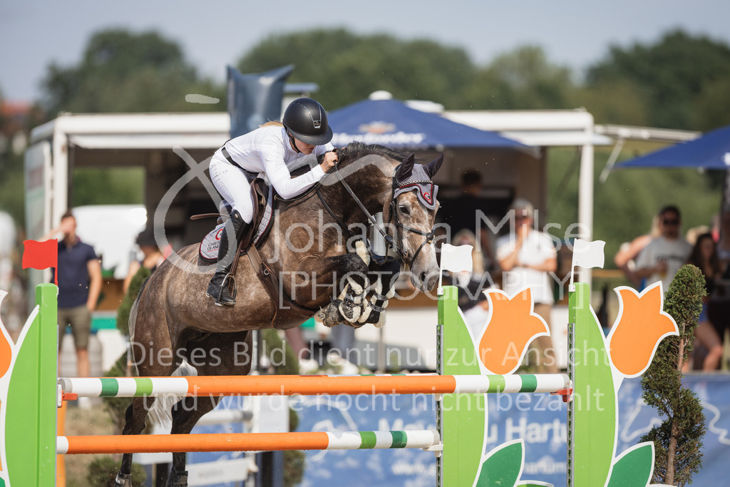 230624_PfSpTa_Youngster-S-323 | Deine schönsten Turniermomente als professionelle Fotos! Entdecke hochwertige Pferdesport-Fotografie im Online-Shop. Jetzt Fotos finden & bestellen!