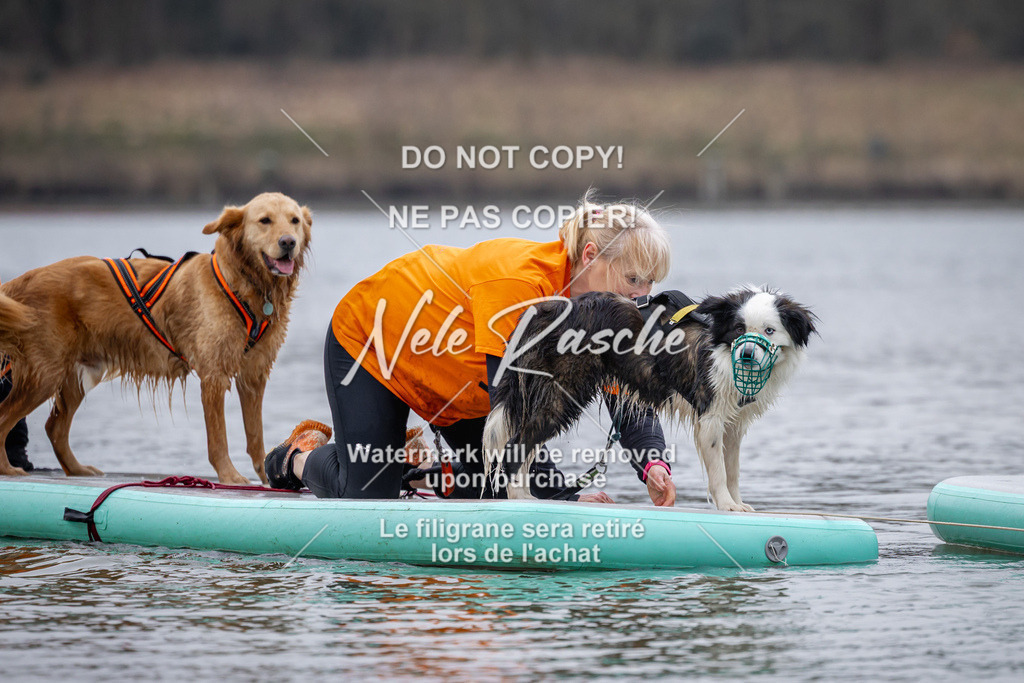 nelerasche_Hulsbeek_Sa1600-1700_191 | nelerasche