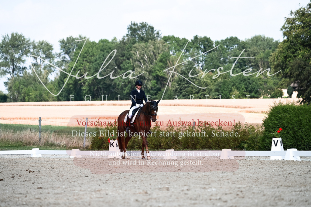 DSC_3195 | Pferde- und Turnierfotografie in Westsachsen. Pferdeportraits, Auftragszeichnungen und intuitive Kunst.