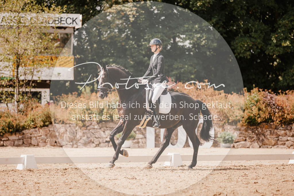 3I6A6094 | Stimmungsvolle Portraits und Reitsportfotografie im Ruhrgebiet und im Münsterland.

Pferdefotografie, Hundefotografie, Tierfotografie, Reportagen, Portraits von Tier und Mensch, Turnierfotografie in Bochum, Recklinghausen, Marl, Haltern am See, Dülmen.. - Realisiert mit Pictrs.com