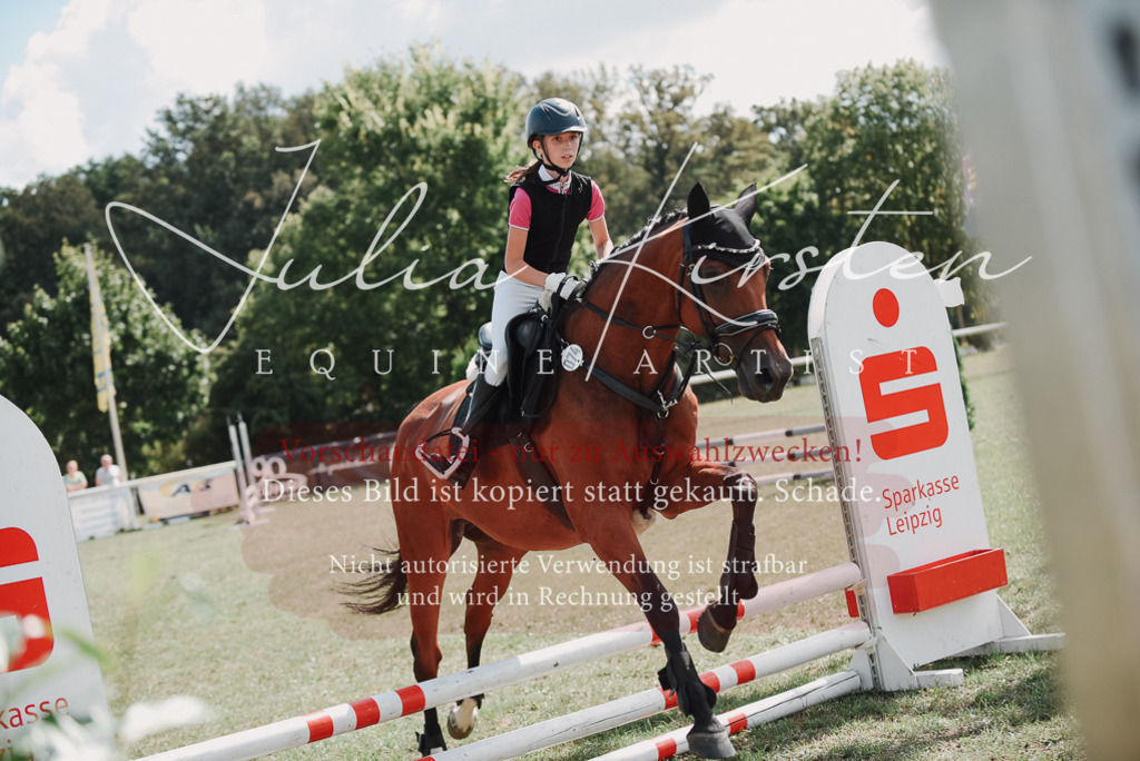 DSC_5627 | Pferde- und Turnierfotografie in Westsachsen. Pferdeportraits, Auftragszeichnungen und intuitive Kunst.