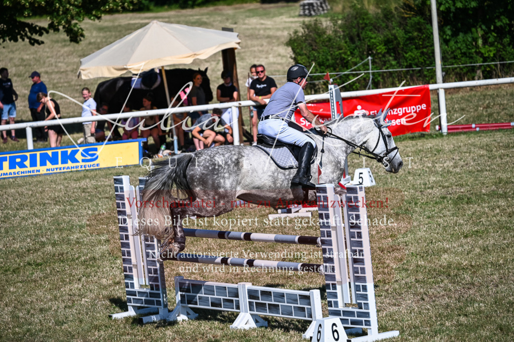 DSC_1973 | Pferde- und Turnierfotografie in Westsachsen. Pferdeportraits, Auftragszeichnungen und intuitive Kunst.