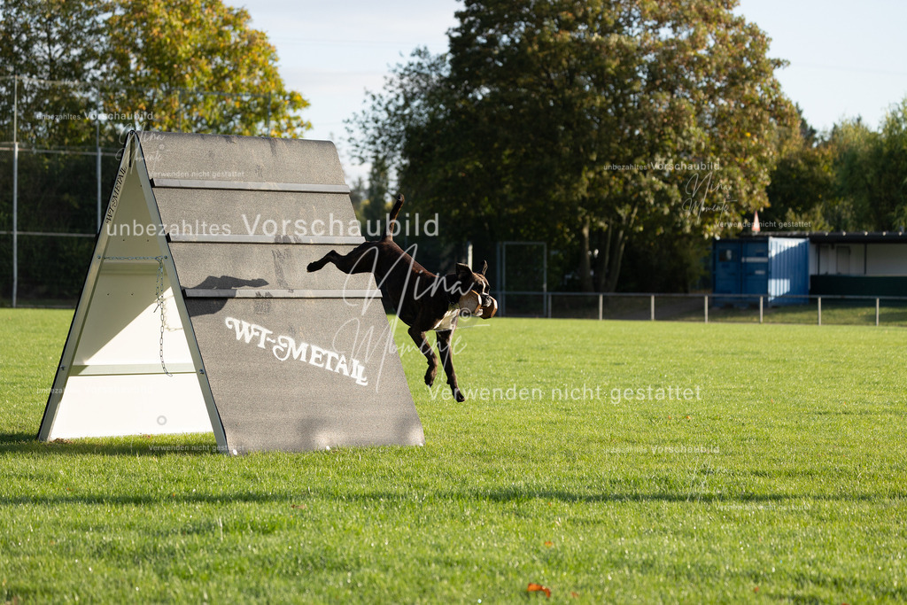 _16A6197 | Einzigartige Fotos von Hunden & Menschen –Actionfotos, Portraits, Vereinsaufnahmen & Paarshootings – authentisch, lebendig & mit Herz.