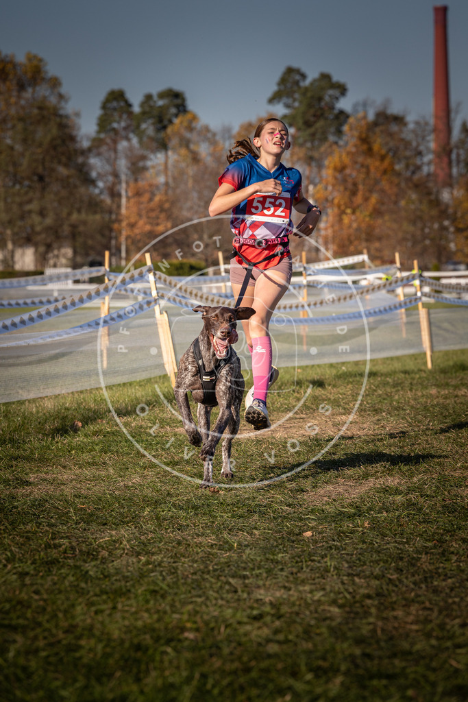 CaniXpix_0L8A7724 | Hundefotografie, Tierfotograf, Pfotenfotografie, Fotoshooting Hund, Hunde Portrait, Hundesport, Hundeportraits, Heideshooting, Hunde, Sportfotograf, Hundefotograf, Turnierhundsport, THS,  - Realisiert mit Pictrs.com