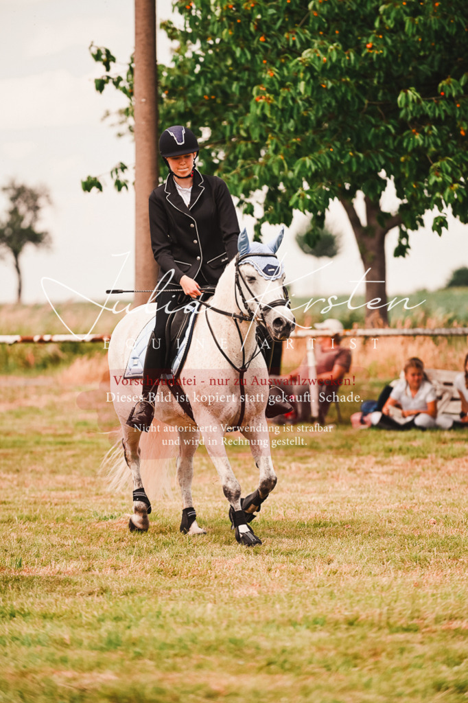 DSC_6946 | Pferde- und Turnierfotografie in Westsachsen. Pferdeportraits, Auftragszeichnungen und intuitive Kunst.