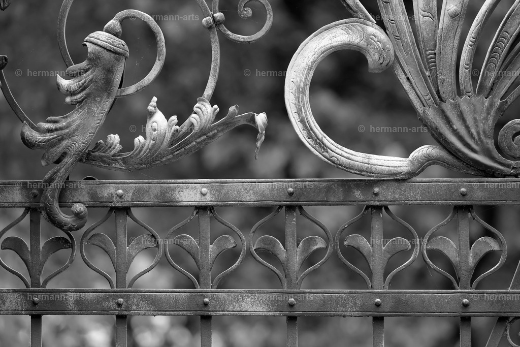 Hermann-Arts_Barockes Tor_041 | Photo Foto Kunst Art schwarzweiss Bilder Rheine Münster Berlin Blumen 