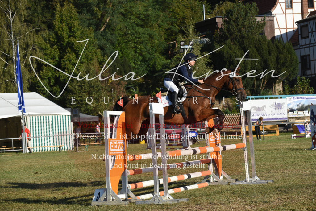 DSC_4998 | Pferde- und Turnierfotografie in Westsachsen. Pferdeportraits, Auftragszeichnungen und intuitive Kunst.