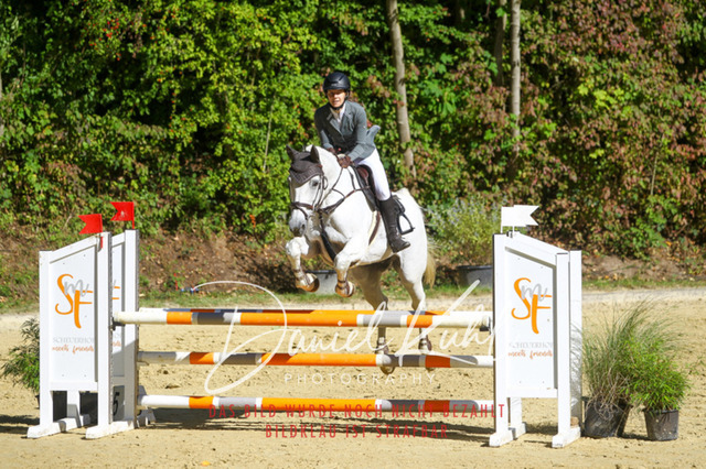 DKP43004 | Turniersportfotografie; Pferdefotografie; Dressurfotografie