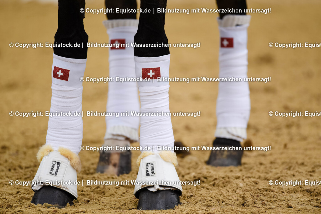 20250607_1_GP-Tour_Dressage_0512 | Foto: Thomas Hartig