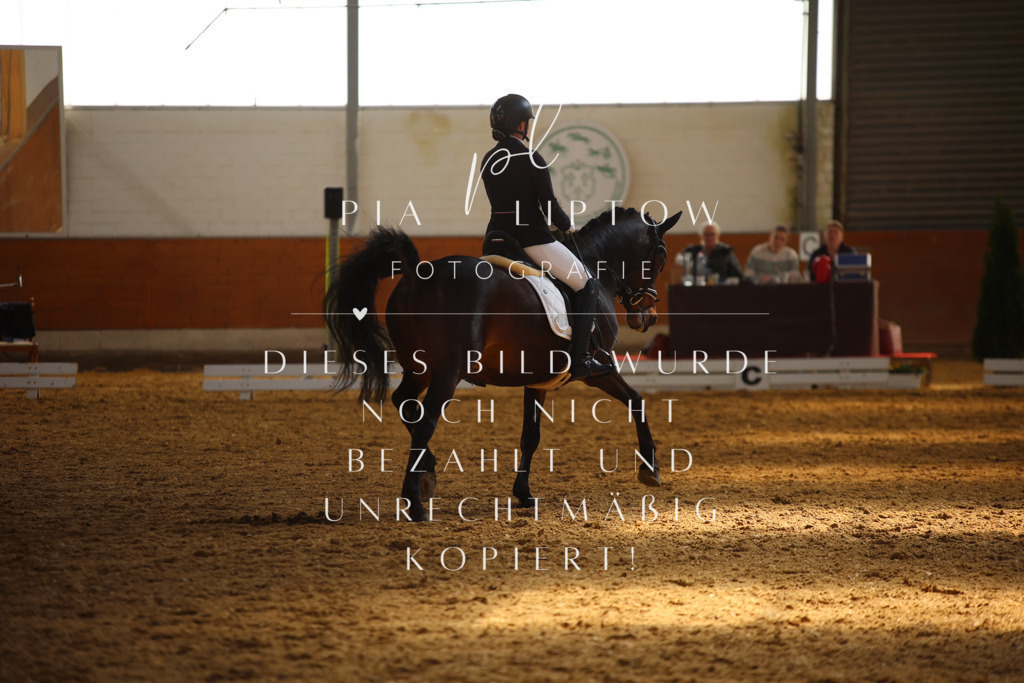 IMGT7512 | pl-fotografie