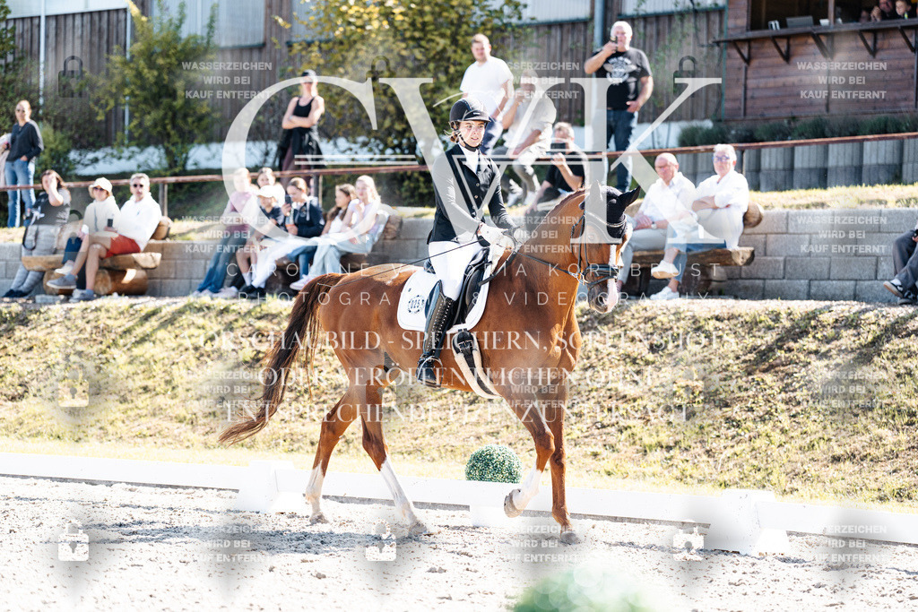 CK909555 | Turnierfotografie Pferdefotografie Trier Rheinland-Pfalz Pferdesport Reitsport Tierfotografie Sportfotografie Pferdevideo Pferdevideografie Equestrianvideography equestrianphotography  - Realisiert mit Pictrs.com