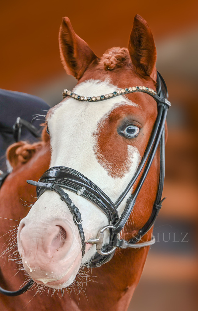 1B3A5741 | Karsten Schulz - Photography