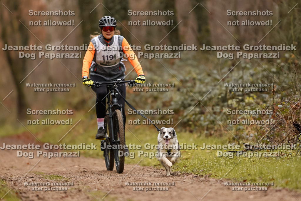 Dog Paparazzi - Speedhunter Mannheim  2025-327 | Dog Paparazzi Jeanette Grottendiek Fotografie & Videografie