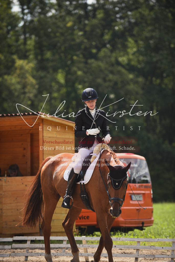 DSC_0742 | Pferde- und Turnierfotografie in Westsachsen. Pferdeportraits, Auftragszeichnungen und intuitive Kunst.