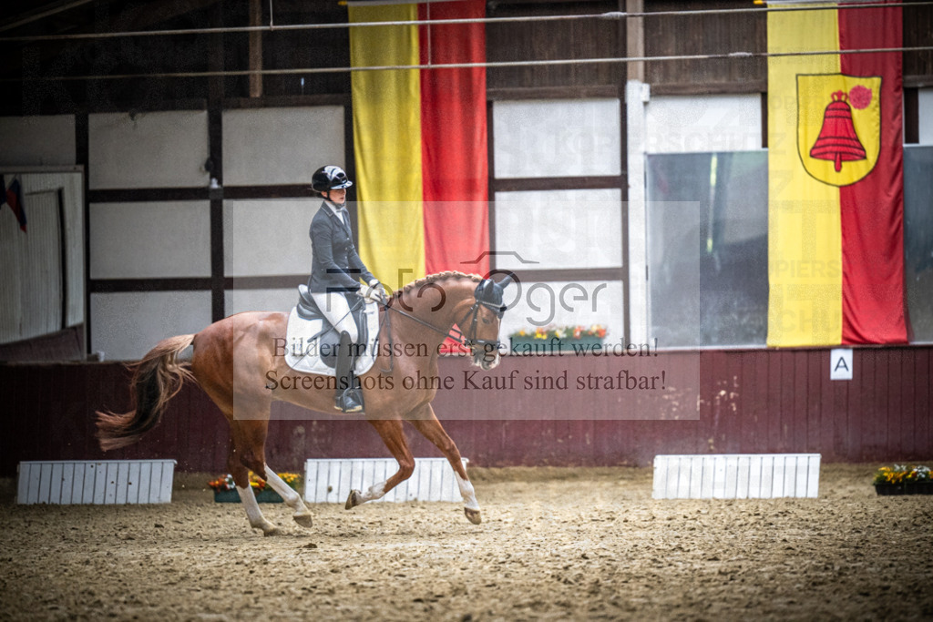 DOS_1467 | Reitturnier Lüdinghausen - Realisiert mit Pictrs.com