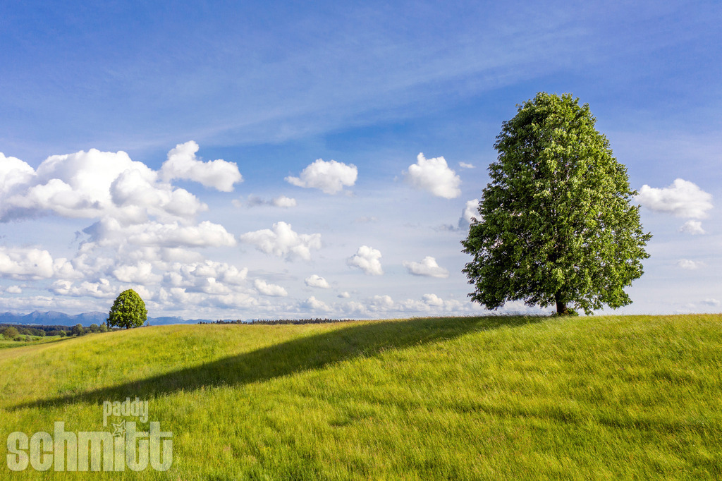 PS-Allgaeu-2026-28 | Entdecke die größte Bildgalerie der Region mit Fotografien aus dem Allgäu, der Bodenseeregion, Oberschwaben, dem Donautal und der Schwäbischen Alb. Landschaften, Luftaufnahmen und Reisefotografie als Wandbild und Fotokunst. - Realisiert mit Pictrs.com