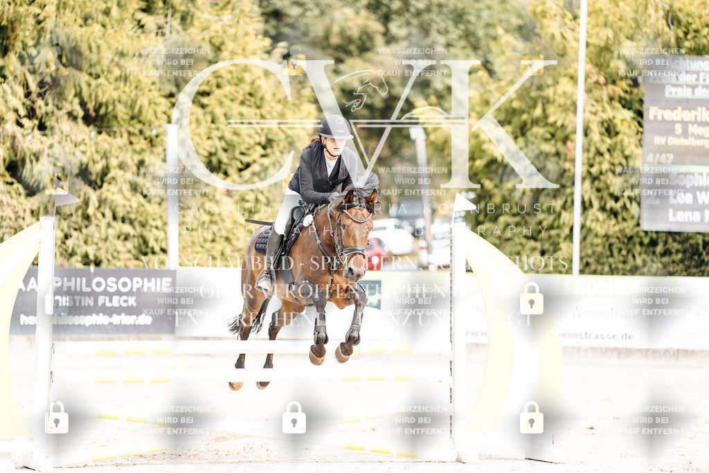 CK901949 | Turnierfotografie Pferdefotografie Trier Rheinland-Pfalz Pferdesport Reitsport Tierfotografie Sportfotografie Pferdevideo Pferdevideografie Equestrianvideography equestrianphotography  - Realisiert mit Pictrs.com