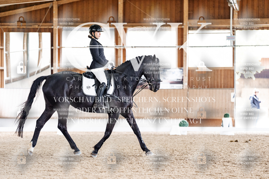 CK901030 | Turnierfotografie Pferdefotografie Trier Rheinland-Pfalz Pferdesport Reitsport Tierfotografie Sportfotografie Pferdevideo Pferdevideografie Equestrianvideography equestrianphotography  - Realisiert mit Pictrs.com
