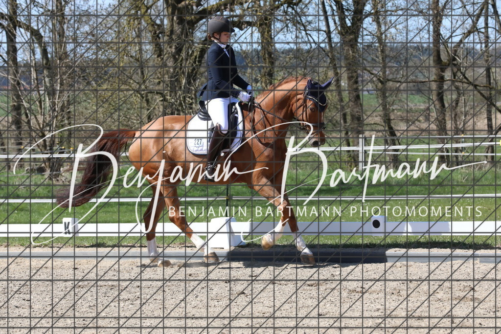 AZ2A4605 | Benjamin Bartmann Photomoments