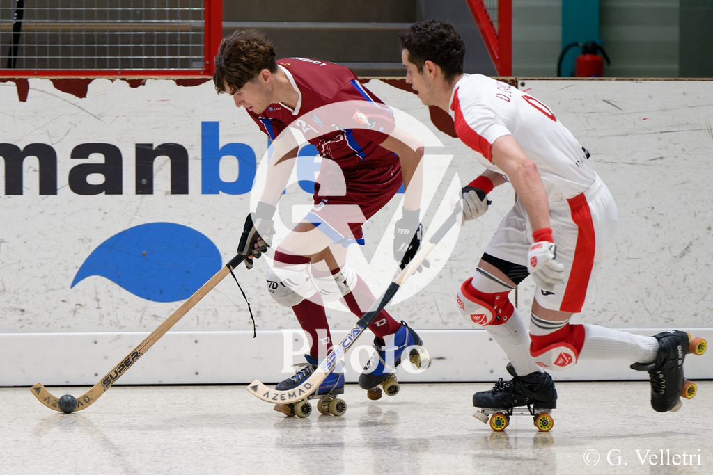 DSC_0153 | Velletri Photo