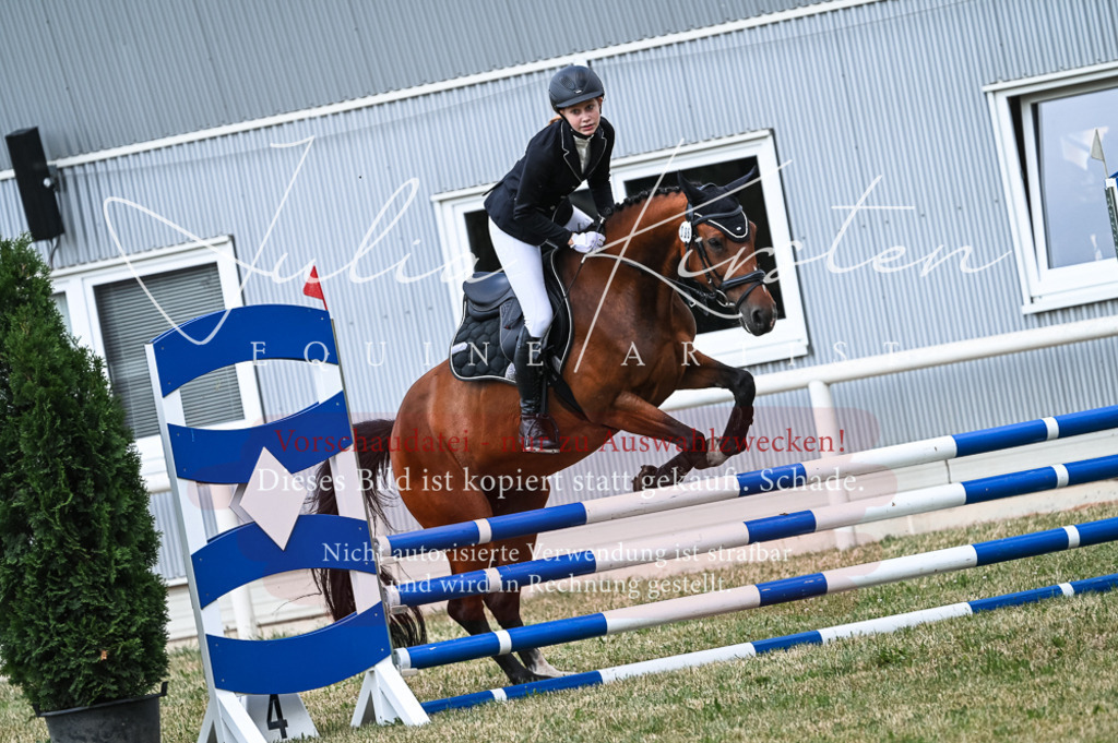 DSC_9020 | Pferde- und Turnierfotografie in Westsachsen. Pferdeportraits, Auftragszeichnungen und intuitive Kunst.