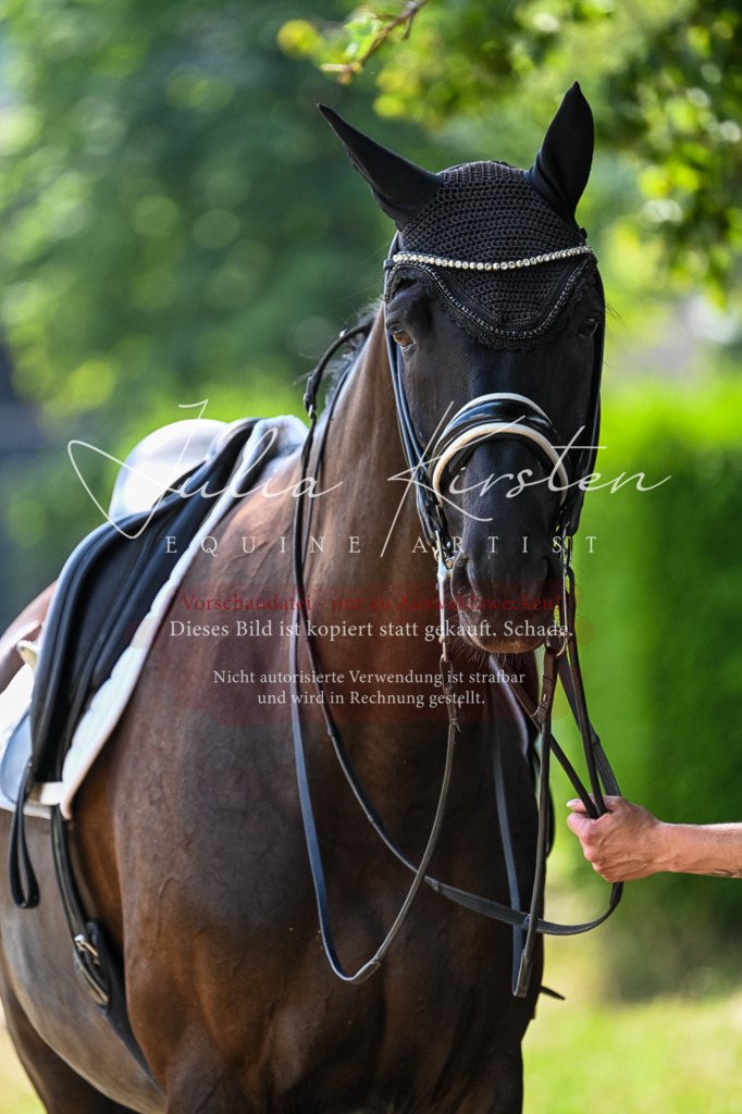 DSC_2774 | Pferde- und Turnierfotografie in Westsachsen. Pferdeportraits, Auftragszeichnungen und intuitive Kunst.