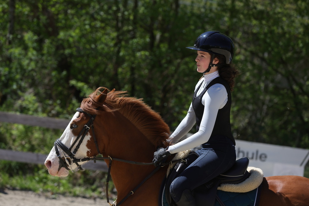 0P6A8850 | Willkommen bei Brunnmayr - Design & Fotografie – Ihrem Spezialisten für Reitturniere und Pferdeveranstaltungen in Oberösterreich, Salzburg und Bayern! Seit über 17 Jahren sind wir leidenschaftlich dabei.