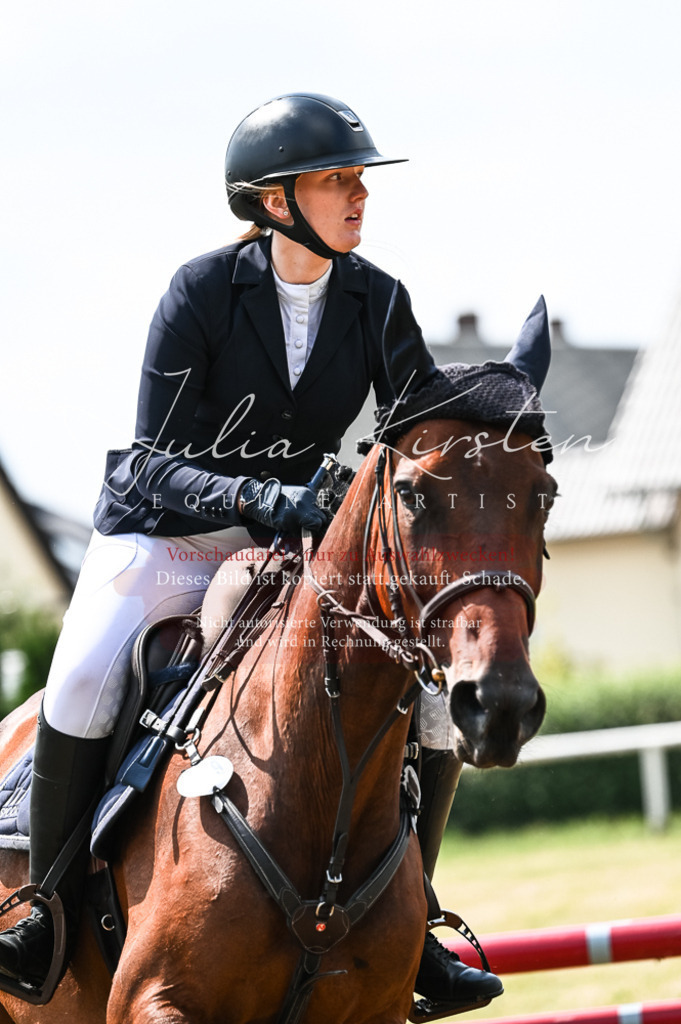 DSC_9109 | Pferde- und Turnierfotografie in Westsachsen. Pferdeportraits, Auftragszeichnungen und intuitive Kunst.