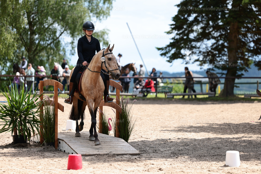 KlasseE_Stoibphotography_CAM22436.JPG | working equitationturnier fotograf videograf stoibphotography marixx film working equitation deutschland reitsport turnierfotografie eventfotografie equestrian events