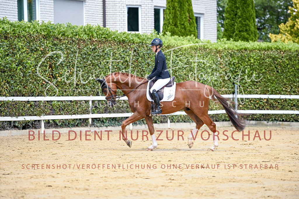 Schugtsche-Aluta25-49.Dressurpferdeprf.A-110 | Schugtsche Fotografie - Realisiert mit Pictrs.com