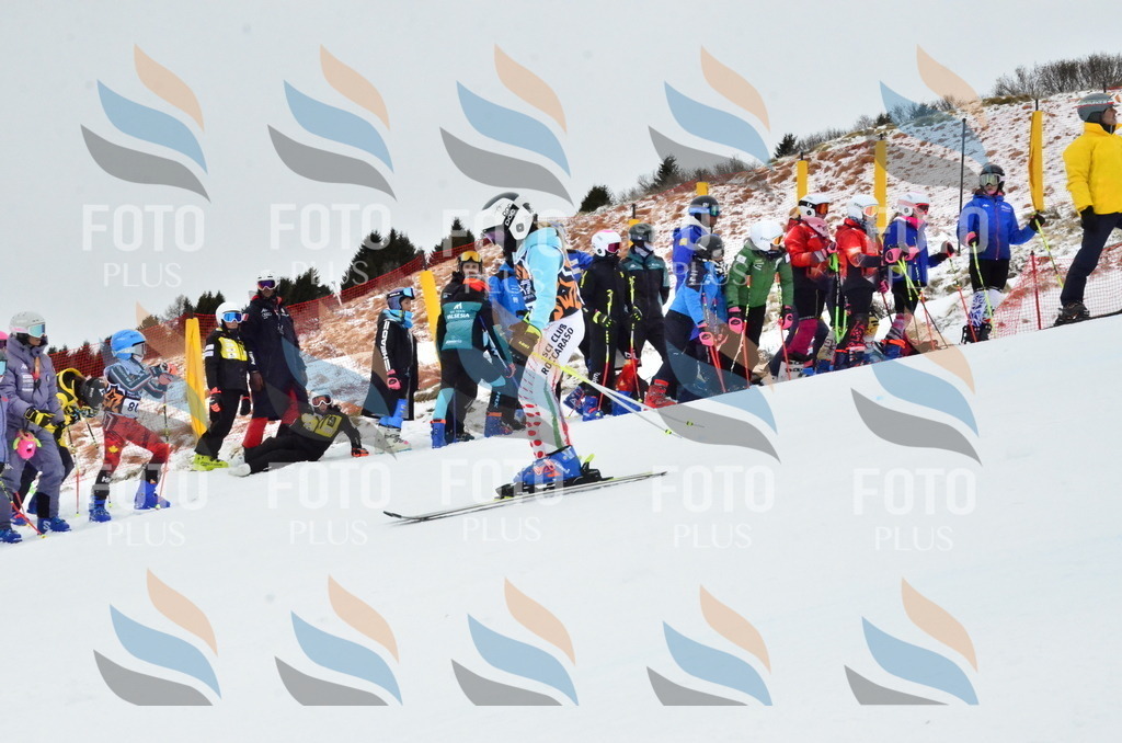 _ELE3367 | holidayphoto