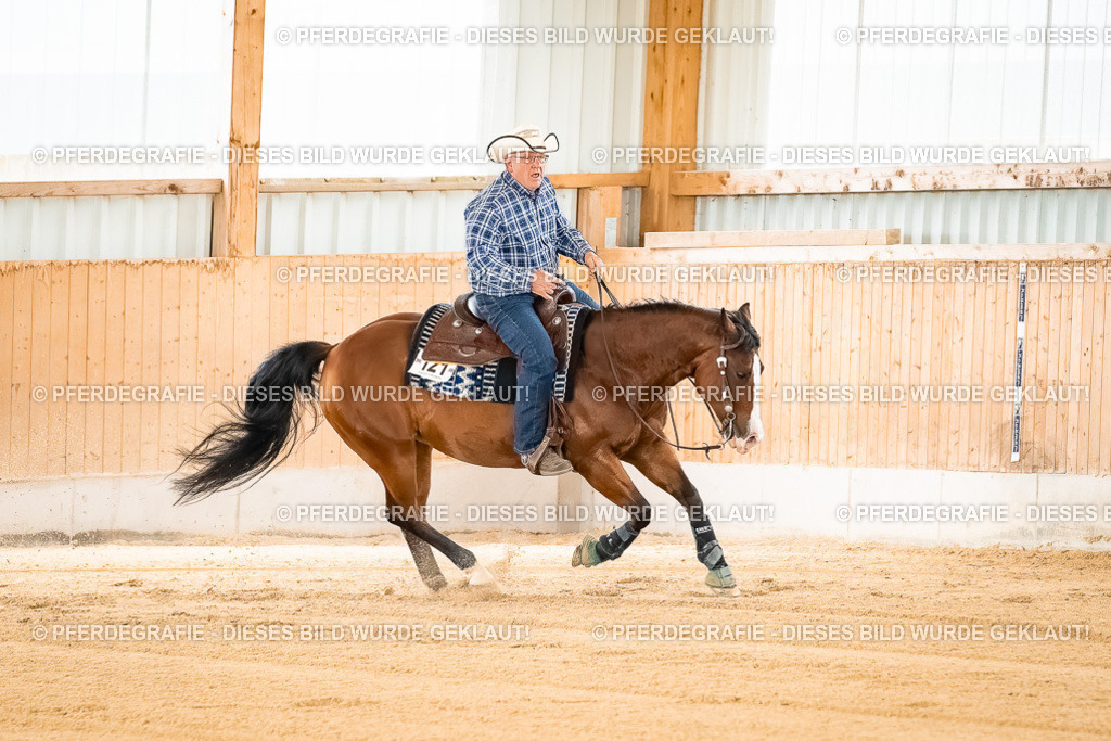 DSC01701 | Pferdegrafie